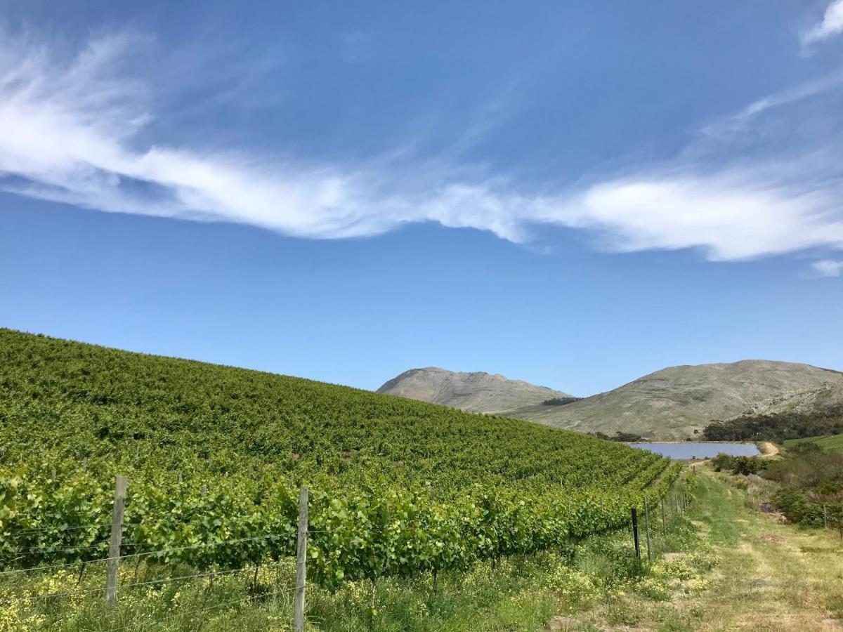 Kleine Vrede Farm Cottage Hermanus Zewnętrze zdjęcie