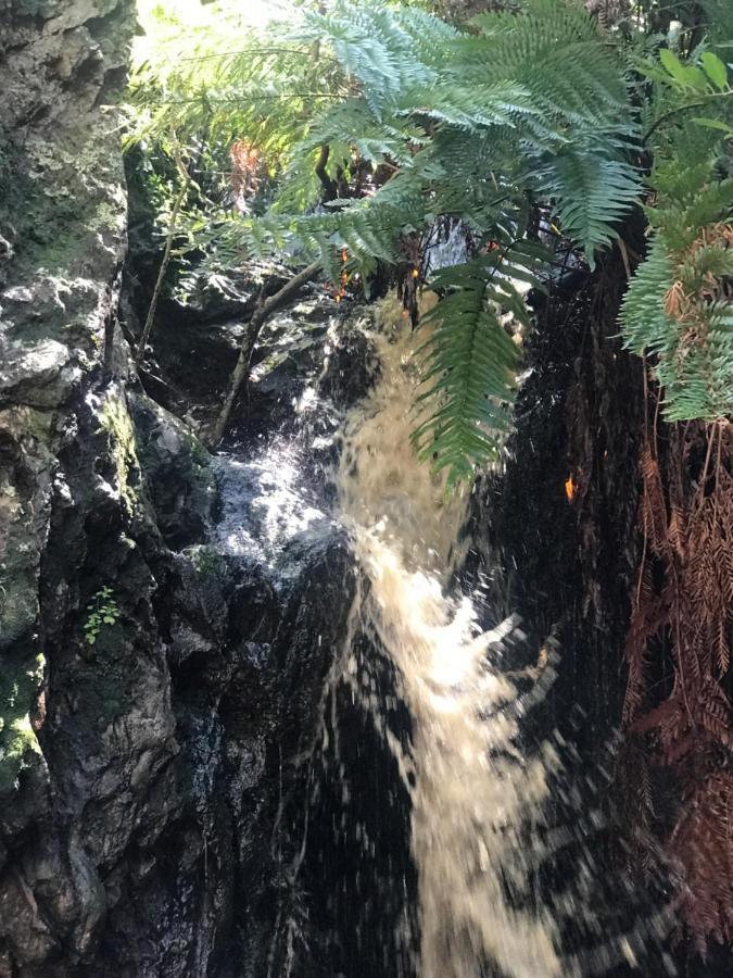 Kleine Vrede Farm Cottage Hermanus Zewnętrze zdjęcie
