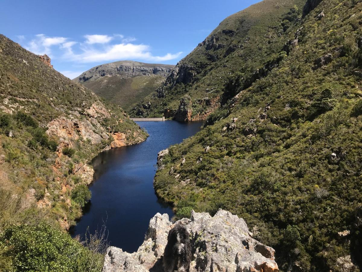 Kleine Vrede Farm Cottage Hermanus Zewnętrze zdjęcie