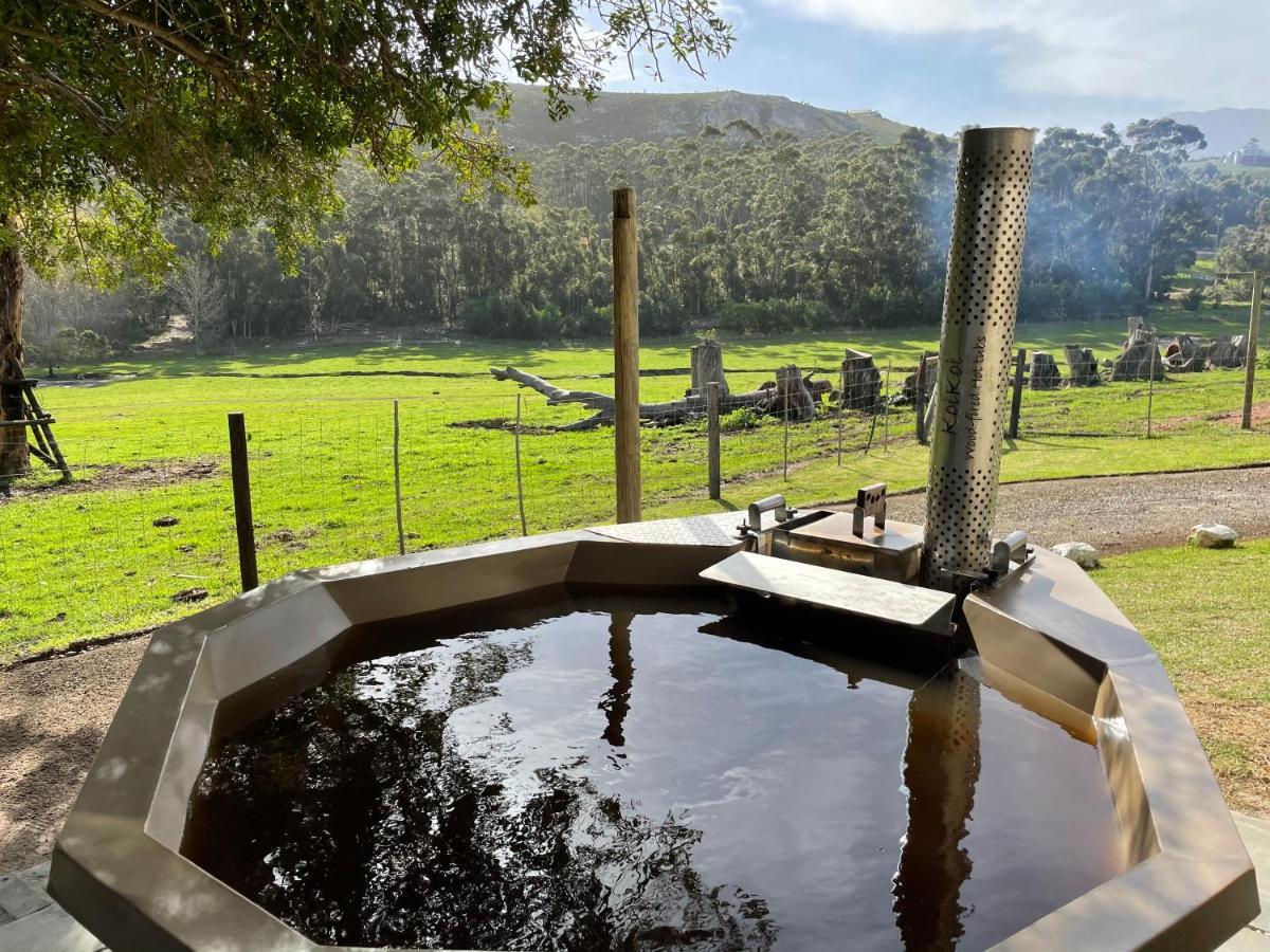 Kleine Vrede Farm Cottage Hermanus Zewnętrze zdjęcie