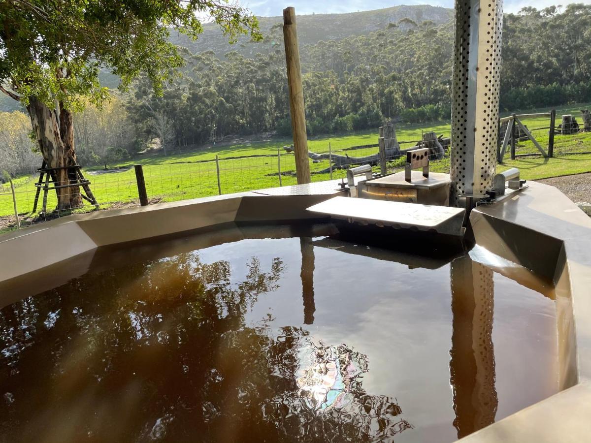 Kleine Vrede Farm Cottage Hermanus Zewnętrze zdjęcie