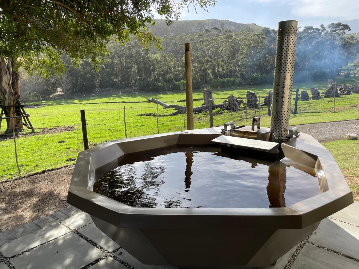 Kleine Vrede Farm Cottage Hermanus Zewnętrze zdjęcie