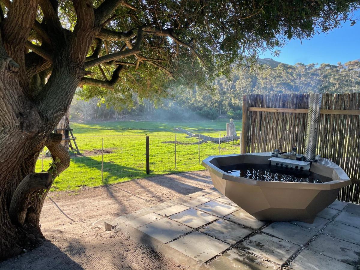 Kleine Vrede Farm Cottage Hermanus Zewnętrze zdjęcie
