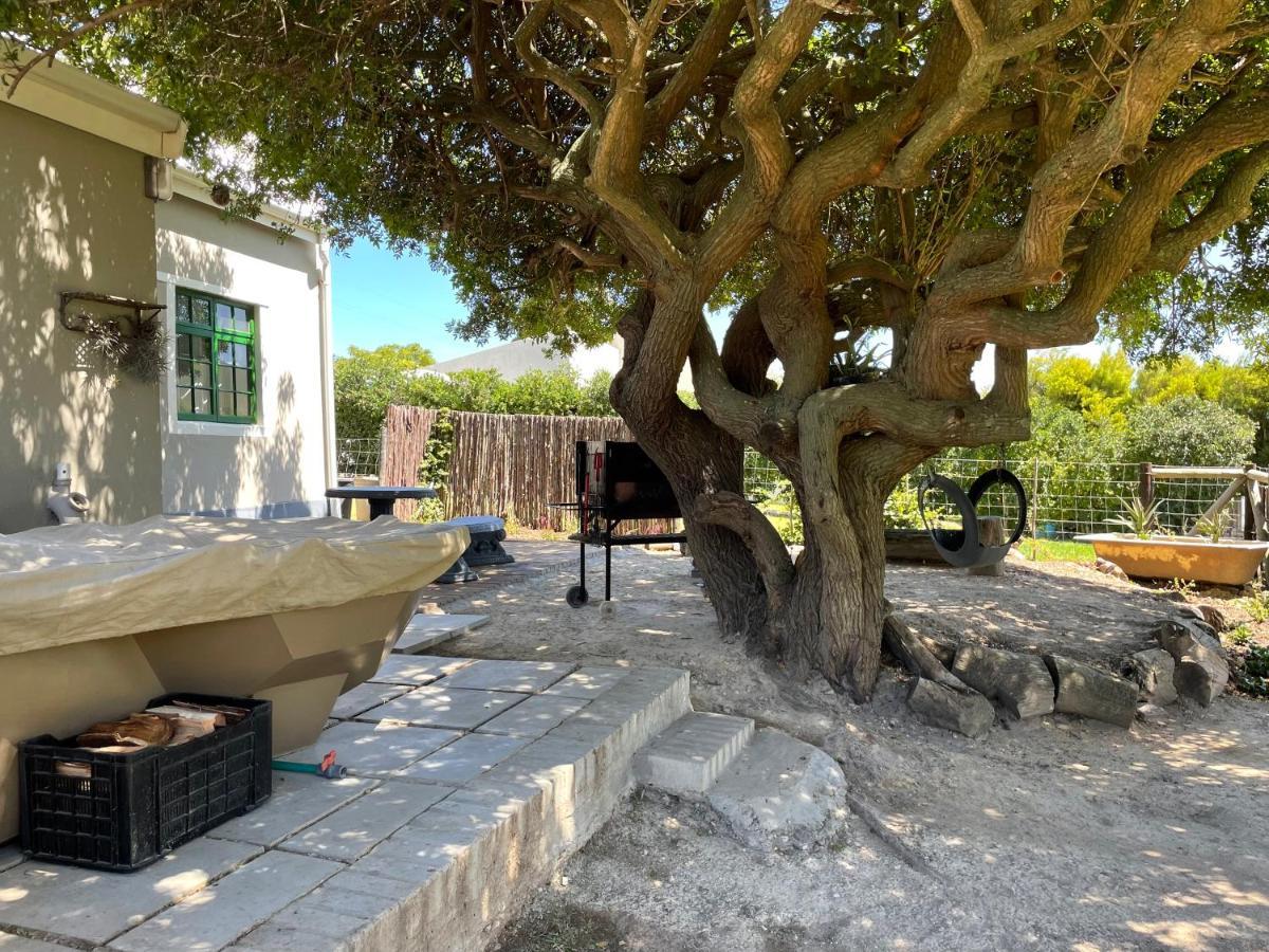 Kleine Vrede Farm Cottage Hermanus Zewnętrze zdjęcie